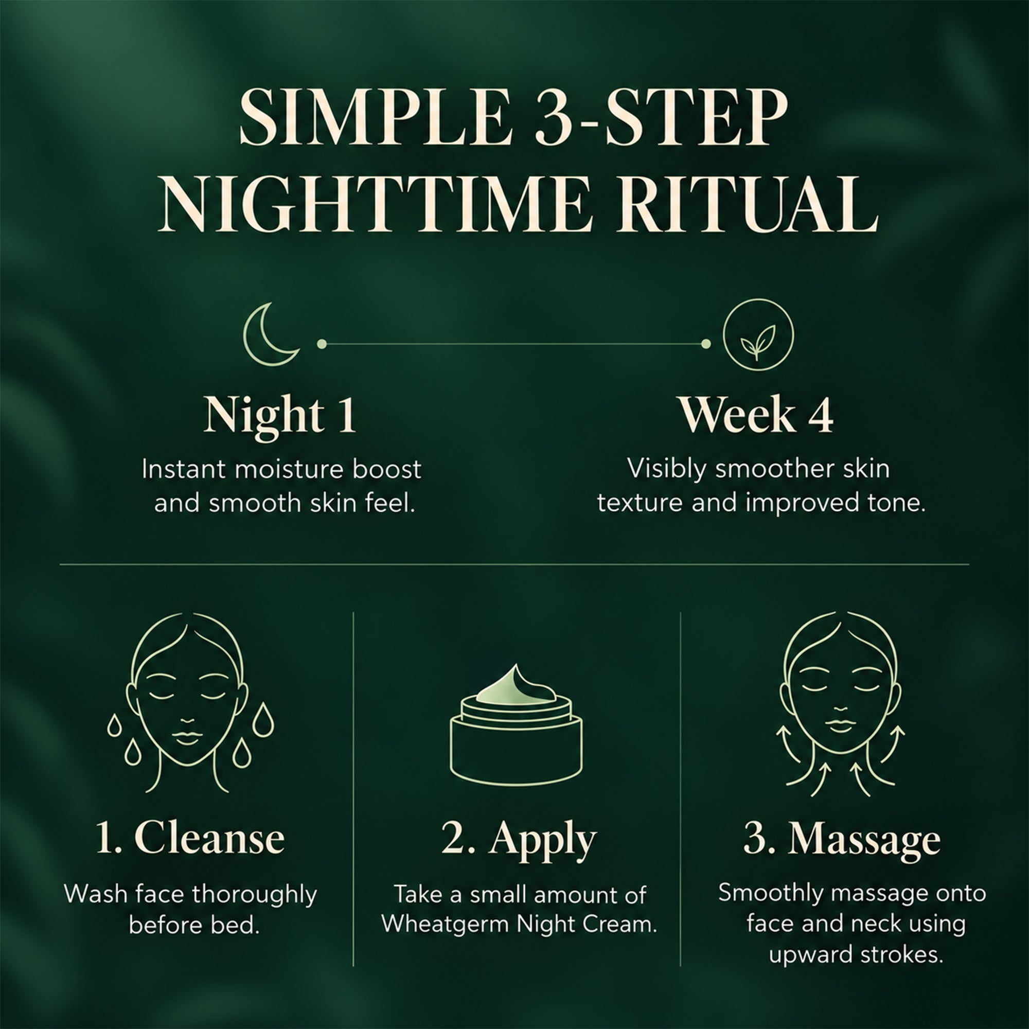 Biotique wheatgerm night cream for smooth, hydrated skin – nourishing overnight moisturizer – reduce appearance of fine lines & improve skin tone – botanical formula for normal to dry skin, 1.76 oz